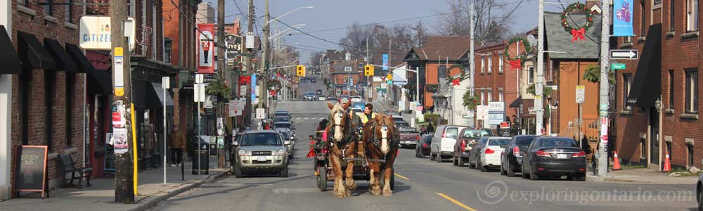 locke street hamilton