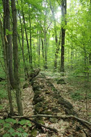 old stone fence